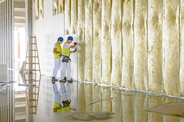 Best Cellulose Insulation  in Interlaken, CA